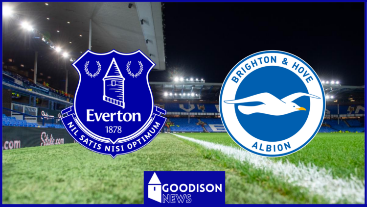 Everton and Brighton badges