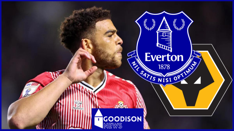 Che Adams Everton Wolves