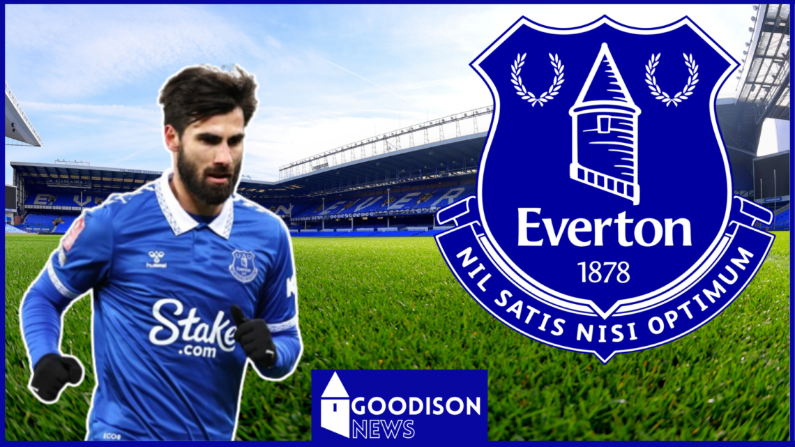 Andre Gomes at Everton