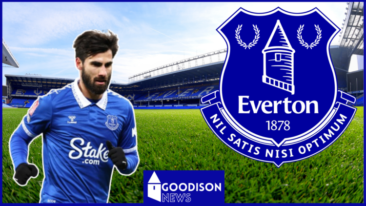 Andre Gomes at Everton