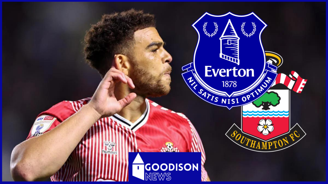 Everton Che Adams Southampton