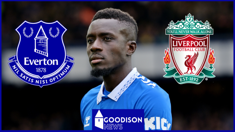 Everton Idrissa Gana Gueye Liverpool