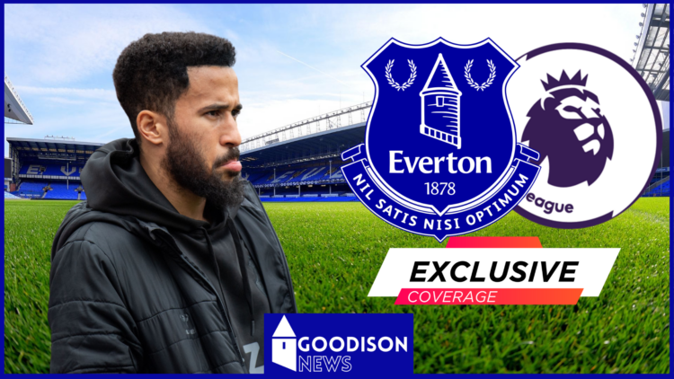 Everton, Goodison Park, Andros Townsend, Premier League, Exclusive