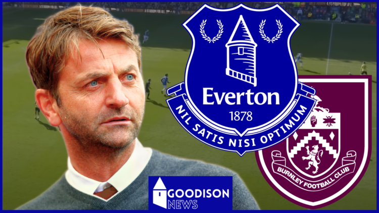 Everton Tim Sherwood