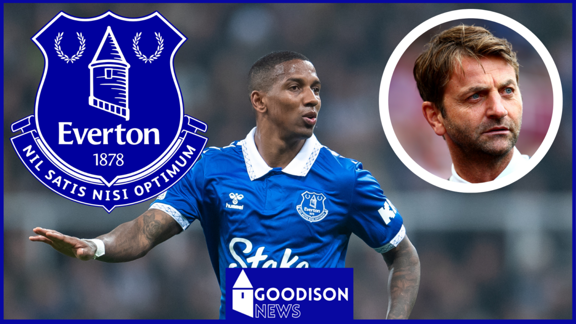 Everton Ashley Young Tim Sherwood