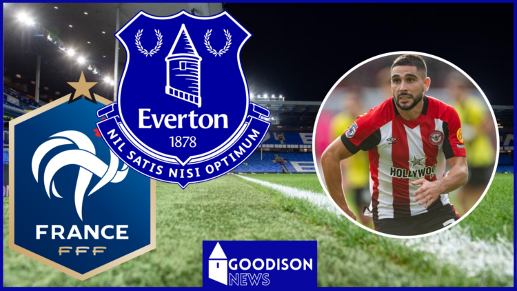 Neal Maupay, Everton badge, France national team badge