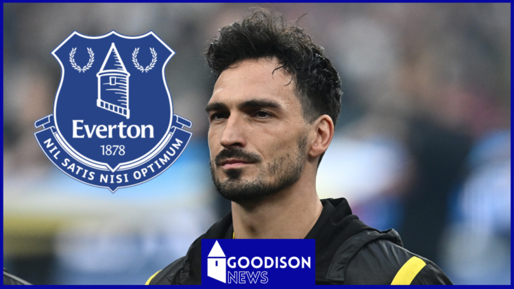 Everton, Mats Hummels