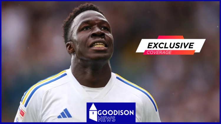 Everton, Wilfried Gnonto