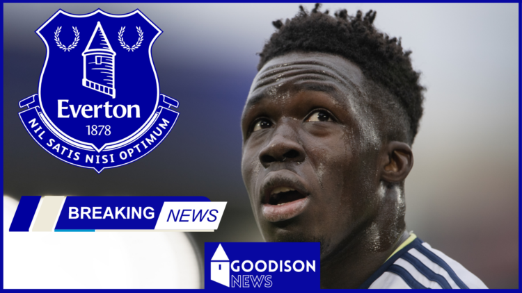 Everton Wilfried Gnonto