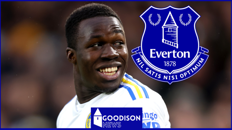 Everton Willy Gnonto