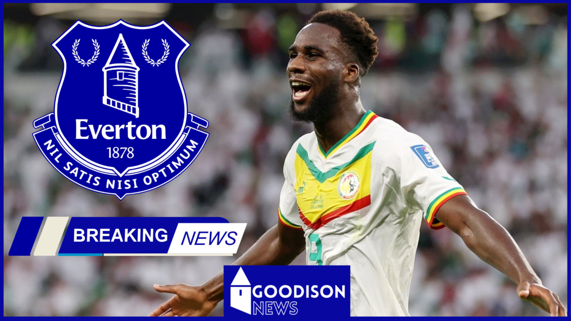Everton target Boulaye Dia