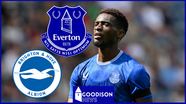 Everton Brighton Tim Ireogbunam