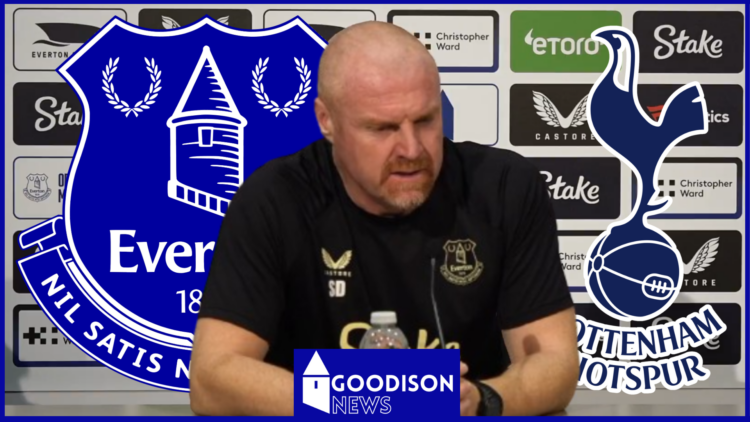 Everton Tottenham Dyche