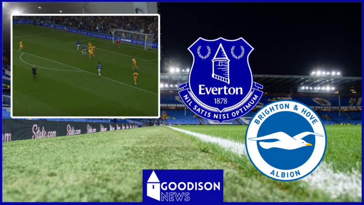 Everton badge, Brighton badge