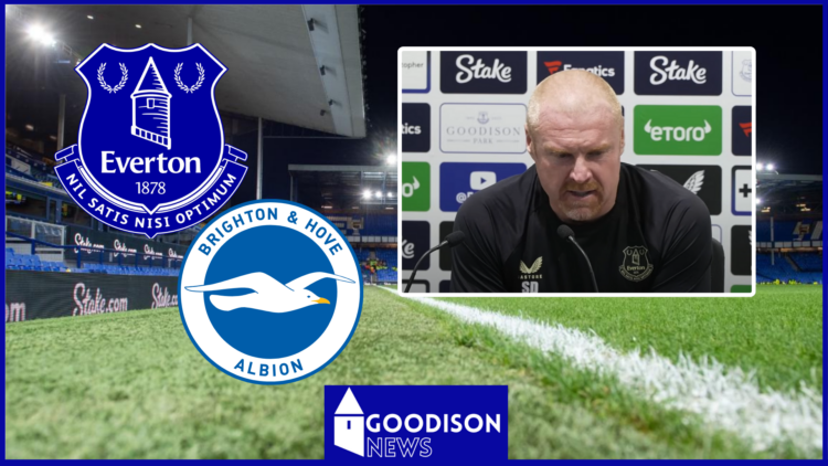 Everton badge, Brighton badge, Sean Dyche