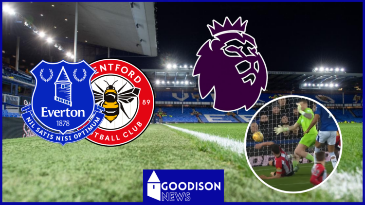 Christian Norgaard, Jordan Pickford, Everton badge, Brentford badge, Premier League badge
