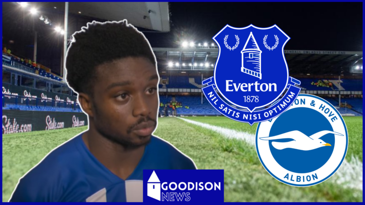 Tariq Lamptey, Everton badge, Brighton badge