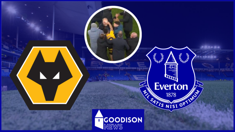 Wolves badge, Everton badge