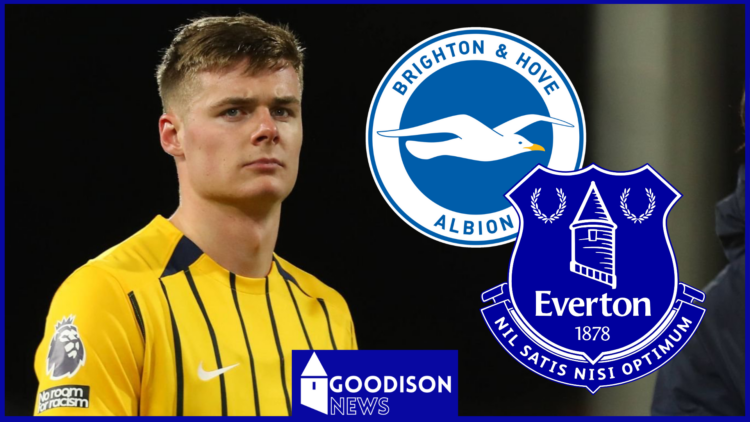 Evan Ferguson Brighton Everton badges