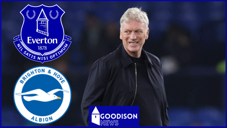 Picture of Everton manager David Moyes.