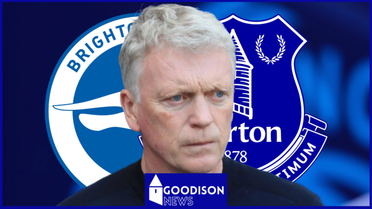 Everton manager David Moyes