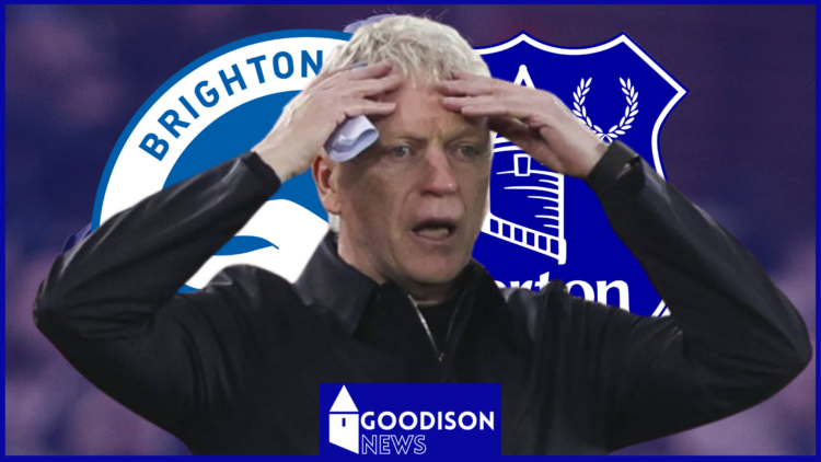 Everton manager David Moyes