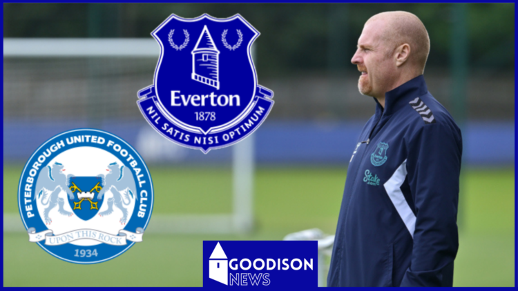 Picture of Everton manager Sean Dyche.
