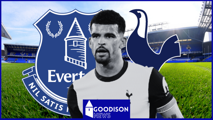 Everton Dominic Solanke