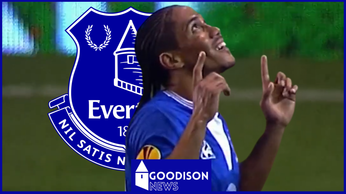 Everton badge Steven Pienaar