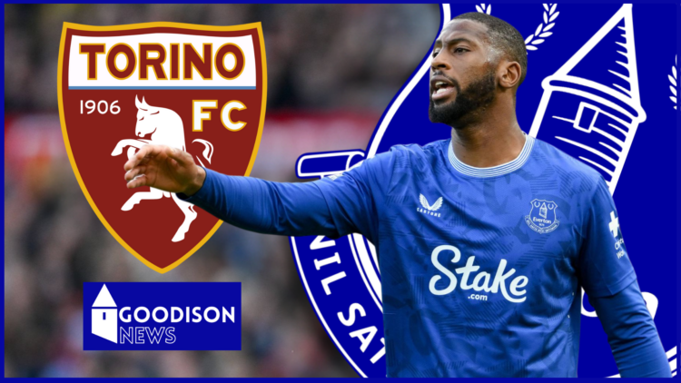 Everton badge Torino Beto