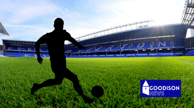 Everton want Giorgi Chakvetadze