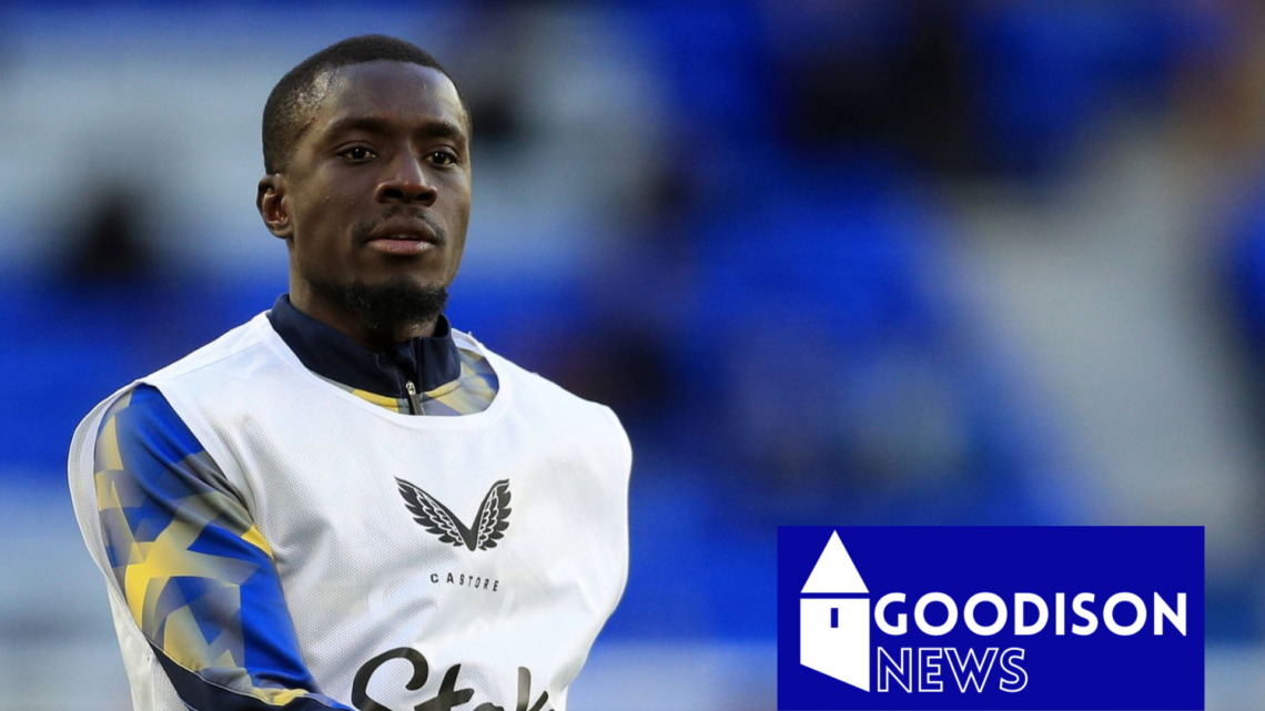 Idrissa Gueye, Everton