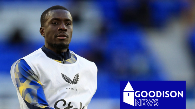 Idrissa Gueye, Everton