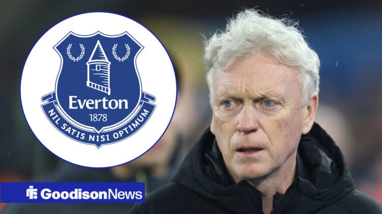 Everton manager David Moyes