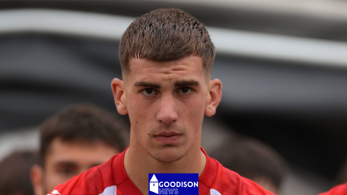 Veljko Milosavljević Everton