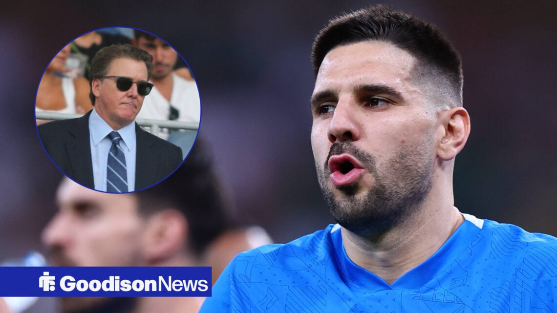 The Friedkin Group could bring Aleksandar Mitrovic to Everton.