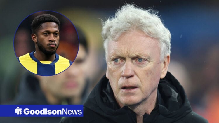 Everton manager David Moyes and Fenerbahce midfielder Fred