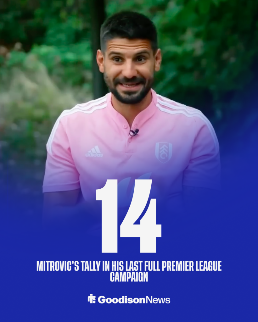 Everton target Aleksander Mitrovic's tally last time in the Premier League