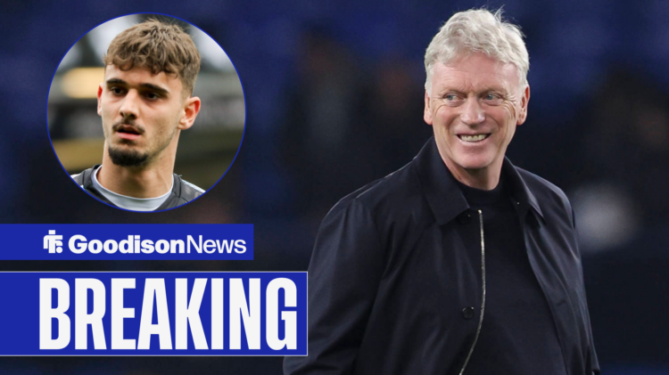David Moyes, Mihailo Ivanovic