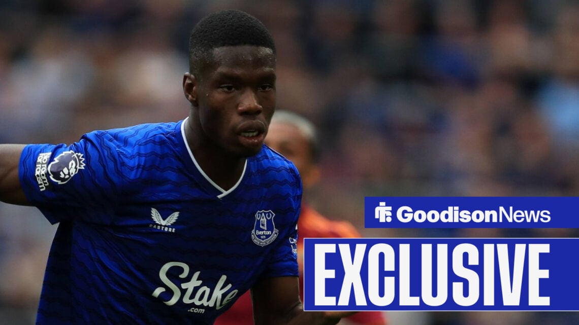 Thierno Barry has struggled at Everton so far.