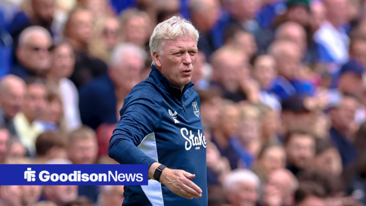 Everton manager David Moyes looking disgruntled