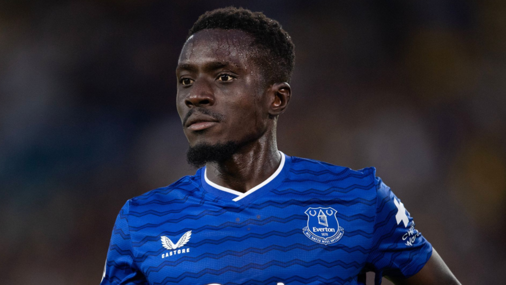 Everton star Idrissa Gueye in action.