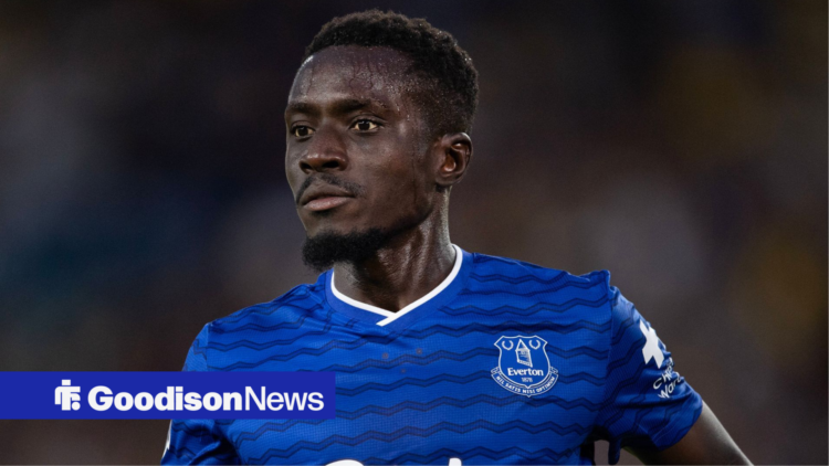 Everton star Idrissa Gueye in action.