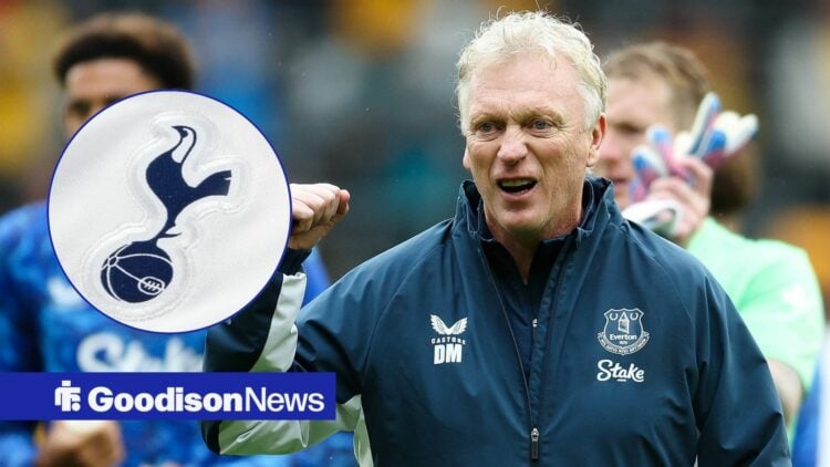 Everton manager David Moyes celebrates with Spurs badge inset