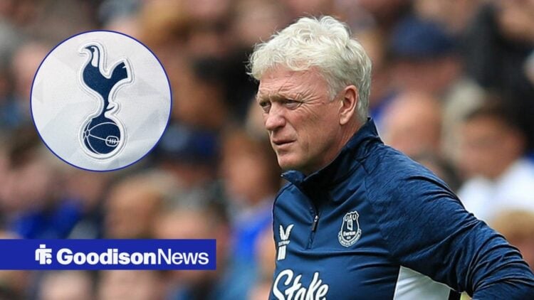 David Moyes looks unimpressed at Tottenham badge in circular inset