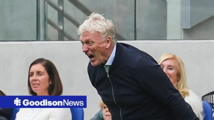 David Moyes shouts inside Hill Dickinson Stadium