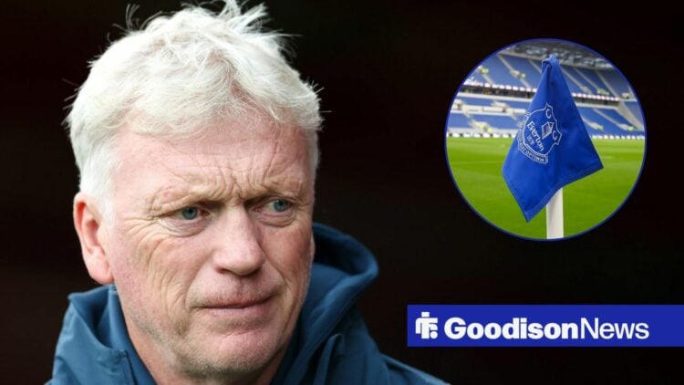 Everton manager David Moyes with flag at Hill Dickinson Stadium inset