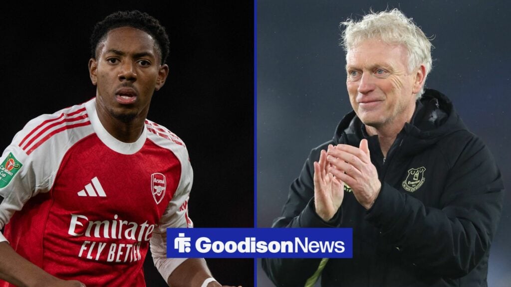 View: Everton could have found perfect replacement for Moyes mainstay already