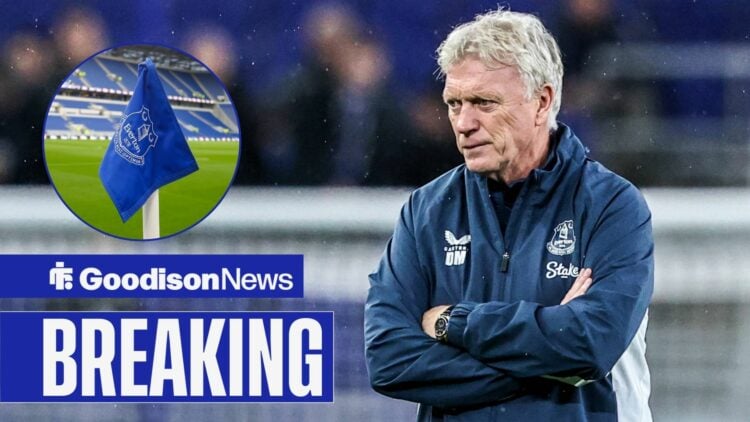 David Moyes and Everton corner flag at the Hill Dickinson Stadium.