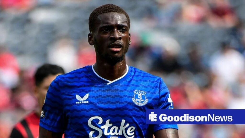 Everton star used 19 times this season an option for multi-time Euro champs - report